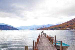 Från Tokyo: Nikko lyxig tur med engelsktalande guide