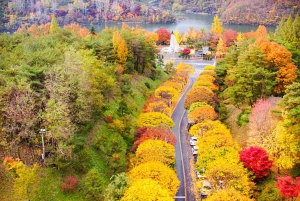Från Tokyo: Nikko lyxig tur med engelsktalande guide