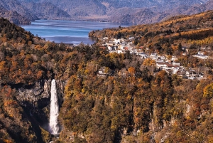 Från Tokyo: Nikko lyxig tur med engelsktalande guide