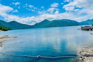 Från Tokyo: Nikko lyxig tur med engelsktalande guide