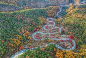 Från Tokyo: Nikko lyxig tur med engelsktalande guide