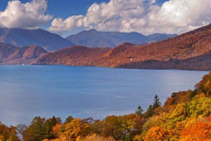 Från Tokyo: Nikko lyxig tur med engelsktalande guide