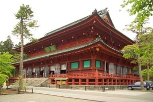 Desde Tokio: tour privado guiado a Nikko con almuerzo incluido.