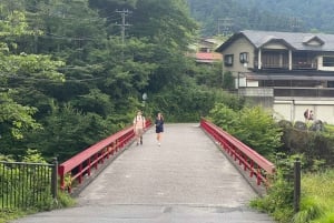 Desde Tokio: tour privado guiado a Nikko con almuerzo incluido.