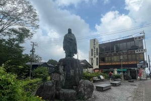 Desde Tokio: tour privado guiado a Nikko con almuerzo incluido.