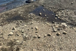 Desde Tokio: tour privado guiado a Nikko con almuerzo incluido.