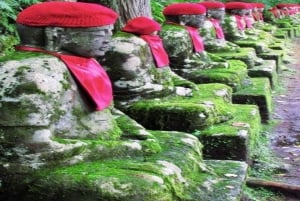 Desde Tokio: tour privado guiado a Nikko con almuerzo incluido.