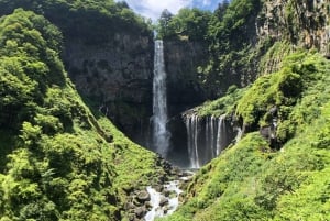 Desde Tokio: tour privado guiado a Nikko con almuerzo incluido.
