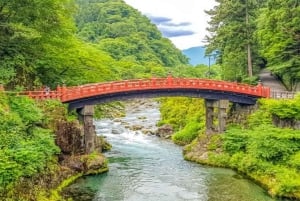 Desde Tokio: tour privado guiado a Nikko con almuerzo incluido.