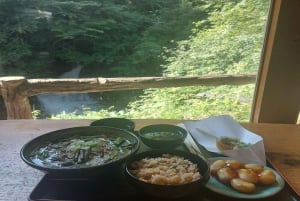Desde Tokio: tour privado guiado a Nikko con almuerzo incluido.