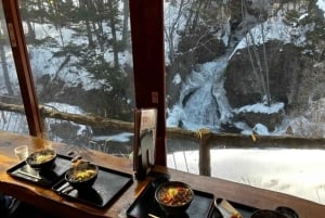 Desde Tokio: tour privado guiado a Nikko con almuerzo incluido.