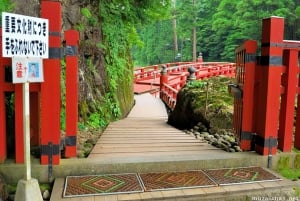 From Tokyo: Nikko Private Tour with English-speaking Guide