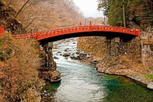 From Tokyo: Nikko Private Tour with English-speaking Guide