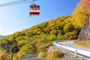 From Tokyo: Nikko Private Tour with English-speaking Guide