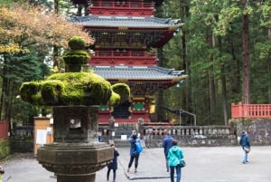 From Tokyo: Nikko Private Tour with English-speaking Guide