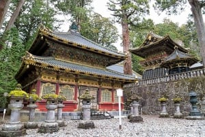 From Tokyo: Nikko Private Tour with English-speaking Guide