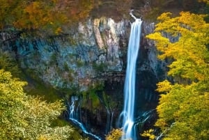 From Tokyo: Nikko Private Tour with English-speaking Guide