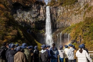 From Tokyo: Nikko Private Tour with English-speaking Guide