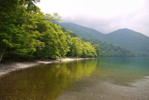 From Tokyo: Nikko Private Tour with English-speaking Guide