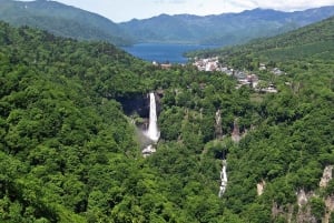 From Tokyo: Nikko Private Tour with English-speaking Guide