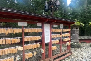 Nikko : les chutes de Kegon, le lac Chuzenji et le temple Toshogu