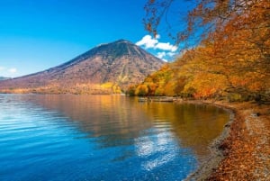 Desde Tokio: Excursión de un día a Nikko Toshogu con Almuerzo Tradicional