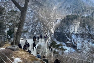 Nikko : les chutes de Kegon, le lac Chuzenji et le temple Toshogu