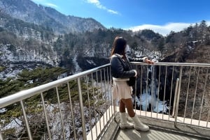 Nikko : les chutes de Kegon, le lac Chuzenji et le temple Toshogu