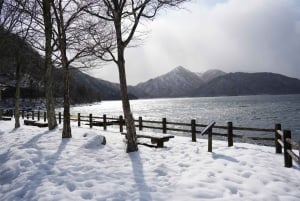 Nikko : les chutes de Kegon, le lac Chuzenji et le temple Toshogu