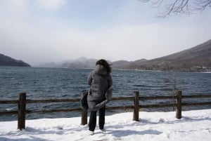 Nikko : les chutes de Kegon, le lac Chuzenji et le temple Toshogu