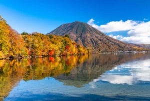 Au départ de Tokyo : Visite à la journée du sanctuaire UNESCO de Nikko et de la nature