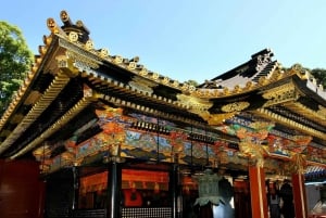 Au départ de Tokyo : Visite à la journée du sanctuaire UNESCO de Nikko et de la nature