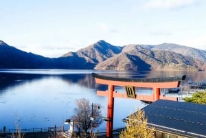 Au départ de Tokyo : Visite à la journée du sanctuaire UNESCO de Nikko et de la nature