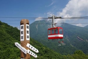 Au départ de Tokyo : Visite à la journée du sanctuaire UNESCO de Nikko et de la nature