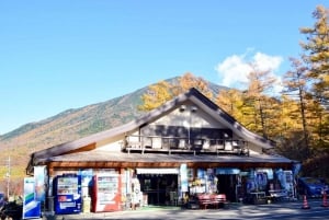 Au départ de Tokyo : Visite à la journée du sanctuaire UNESCO de Nikko et de la nature