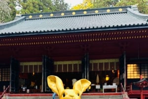 From Tokyo: Nikko World Heritage Private Customized Day Tour