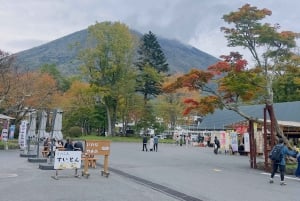 From Tokyo: Nikko World Heritage Private Customized Day Tour