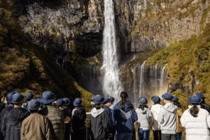 Från Tokyo: privat tur med guide till världsarvet i Nikko