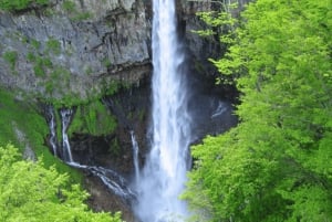 Från Tokyo: privat tur med guide till världsarvet i Nikko