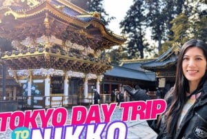 Från Tokyo: privat tur med guide till världsarvet i Nikko