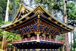 Från Tokyo: privat tur med guide till världsarvet i Nikko