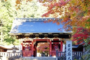 Från Tokyo: privat tur med guide till världsarvet i Nikko