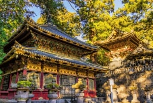 Från Tokyo: privat tur med guide till världsarvet i Nikko