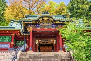 Från Tokyo: privat tur med guide till världsarvet i Nikko