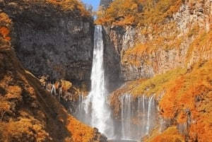 Tokyo: tour privato personalizzato a Nikko con autista e guida in inglese