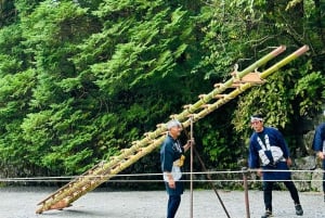 Tokyo: tour privato personalizzato a Nikko con autista e guida in inglese