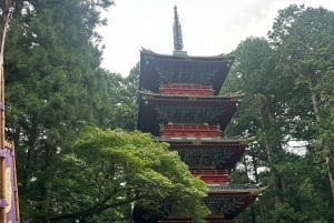Tokyo: tour privato personalizzato a Nikko con autista e guida in inglese