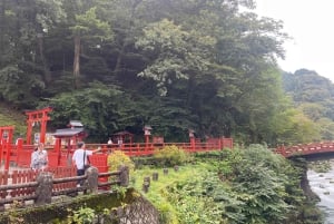 Tokyo: tour privato personalizzato a Nikko con autista e guida in inglese