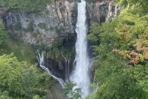 Tokyo: tour privato personalizzato a Nikko con autista e guida in inglese