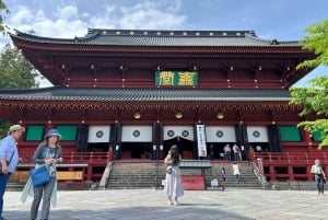 Tokyo: tour privato personalizzato a Nikko con autista e guida in inglese